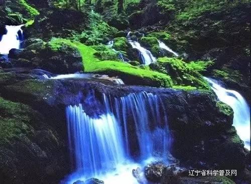 埃琳娜房间清洁